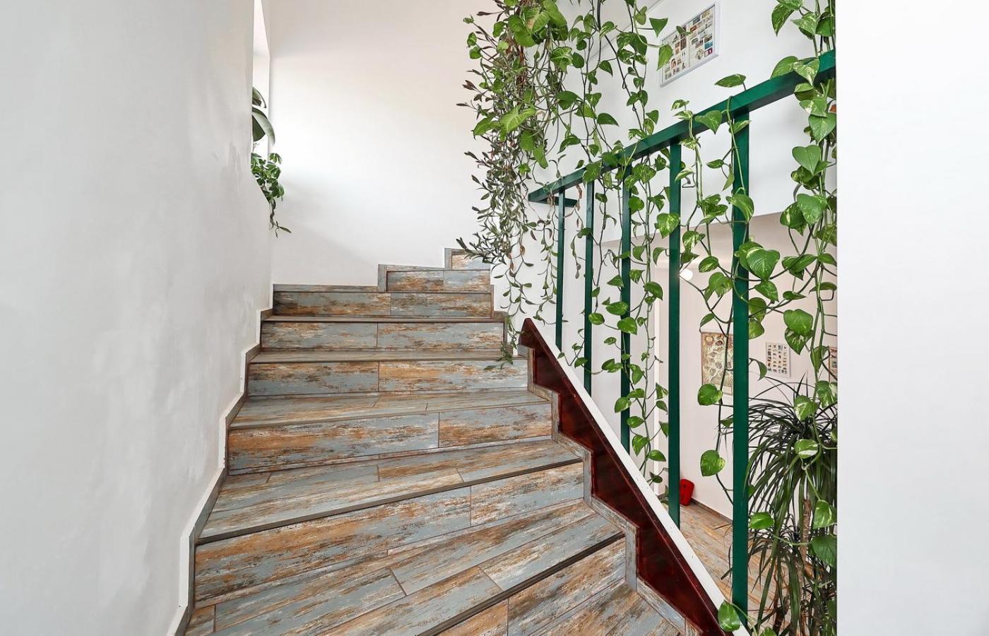 Vila Sol Prejmer Экстерьер фото